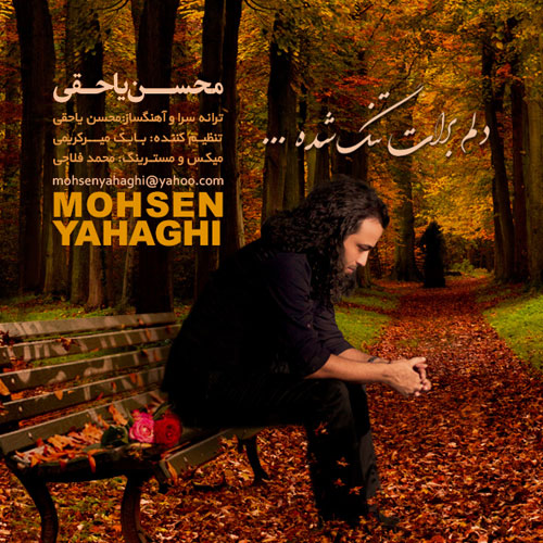 دانلود آهنگ دلم برات تنگ شده از محسن ياحقی