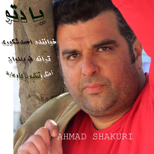 دانلود آهنگ به نام یاد تو از احمد شکوری