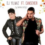 دانلود آهنگ جدید DJ Yilmaz بنام Sarinenge