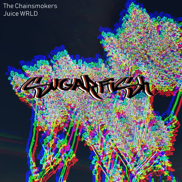 دانلود آهنگ Sugarfishاز The Chainsmokers