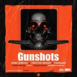 دانلود آهنگ GunShots از نیما نیموش و فرهنگ (حالا همه دیدن که من دیوونه ام)